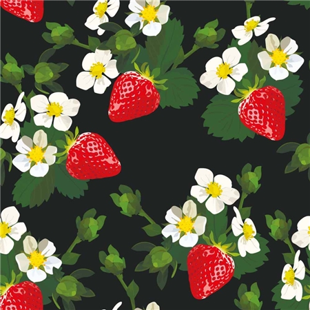 Strawberry Svart