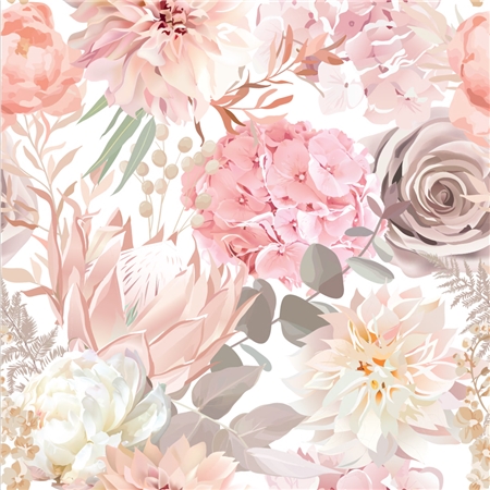 ASTER HORTENSIA VIT