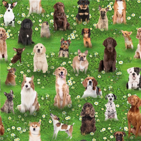 Dogs in the Garden