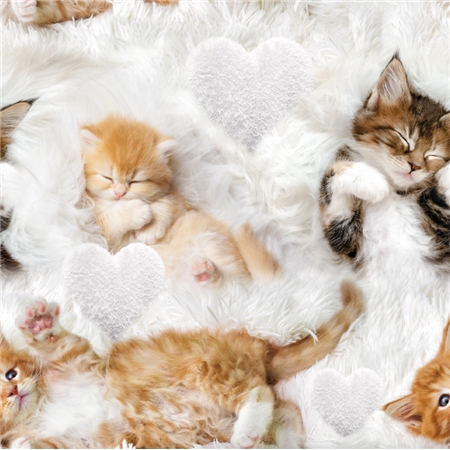 Sleepy Kittens