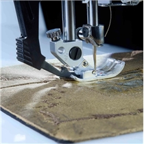 Pfaff quilt expression 725