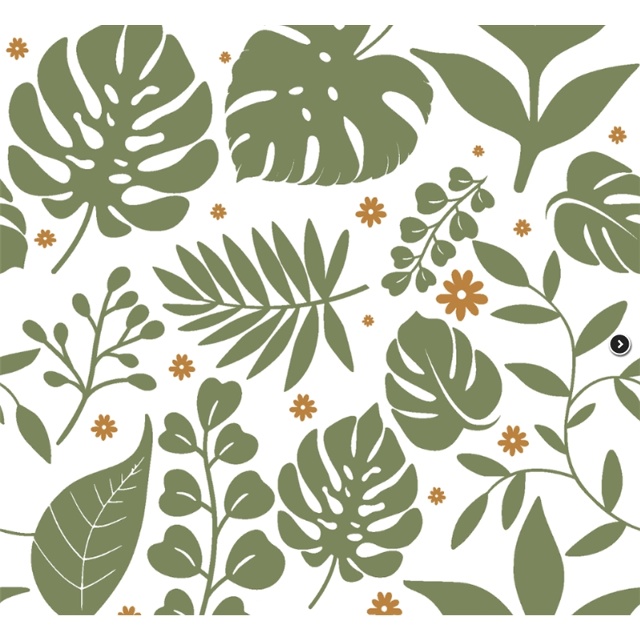 Monsteraiamagi vit grön