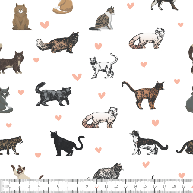 Love cats med hjärtan