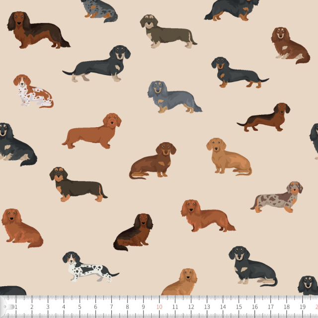 Love dachshund beige